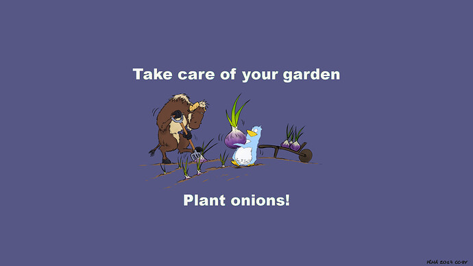 plant-onion