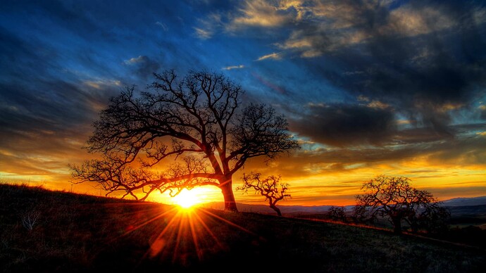 40380-atmosphere-afterglow-light-dawn-sun-1920x1080