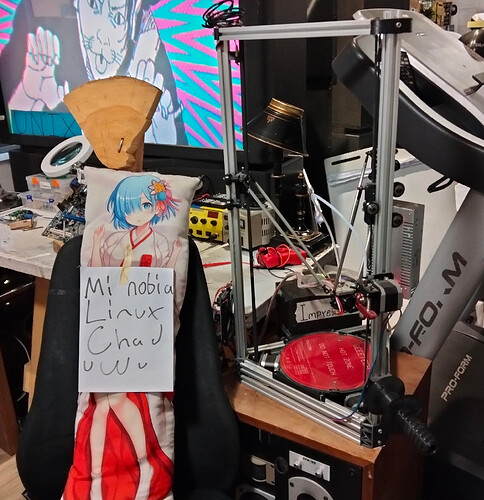 impresora3dcasera