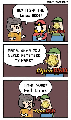 fish-linux-v0-q97vhyvhbtod1