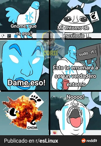 RDT_20260206_170058386294936024864869