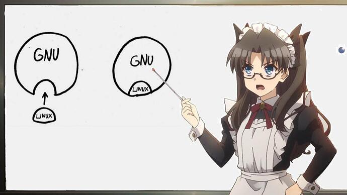 9a3vxenf38s81