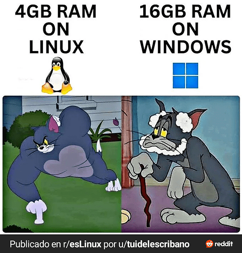 RDT_20250729_004836912119443442749673