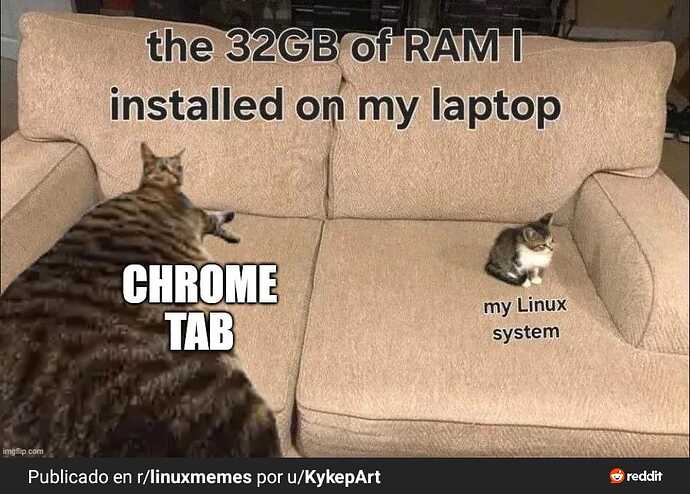 WhatsApp Image 2025-12-10 at 09.47.48