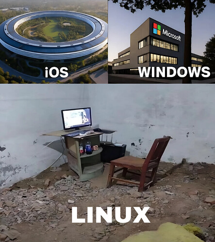 1000513260-01
