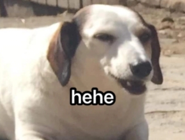 e28445c3-ec16-44e2-95bc-aec948f34029